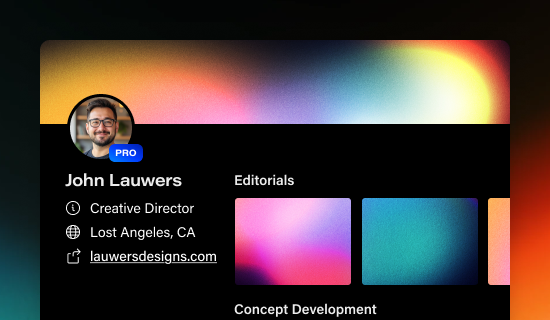 Dark mode Behance profile with a dark background and light text